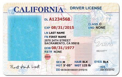 fake south african drivers license template